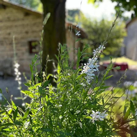 La Grosse Talle בית נופש צרפתי *