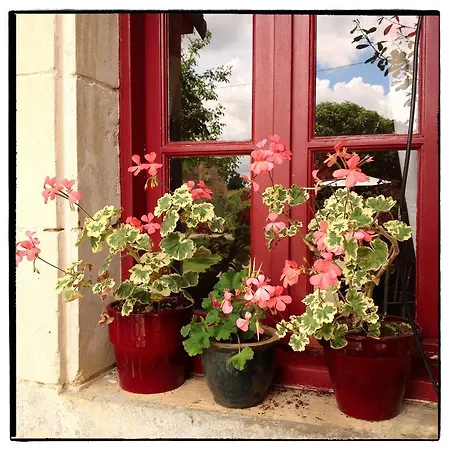 בית נופש צרפתי La Grosse Talle