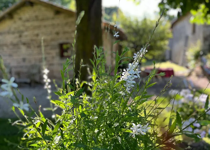 La Grosse Talle Gîte *